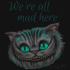 Meet your Posher, Darlene